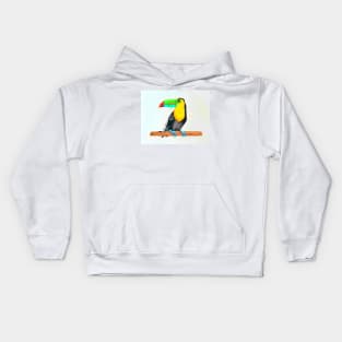 Toucan Kids Hoodie